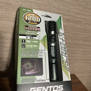GENTOS ジェントス　充電式高出力ライト　USB充電式　登山 キャンプ 防災 アウトドア 釣り 旅行 トレッキング 停電対策