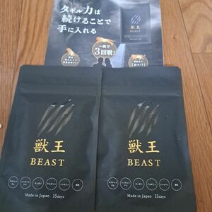 サプリメント 獣王BEAST