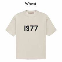  Essentials Fear Of God エッセンシャルズ 1977 Tシャツ ウェートSサイズ_画像1