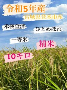 白米　精米　10キロ　令和5年産　ひとめぼれ　一等米　宮城県登米市中田町