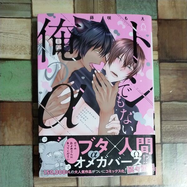 トンでもない俺のα/藤咲もえ