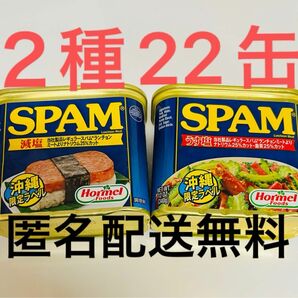 沖縄ホーメル　スパム　ポークランチョンミート　減塩　うす塩　SPAM 22 缶詰