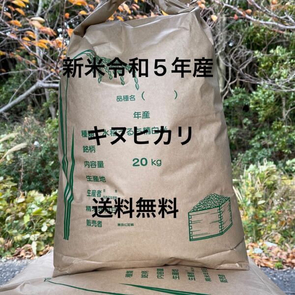 令和5年度 兵庫県産 キヌヒカリ 白米 20キロ