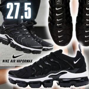 海外限定 NIKE AIR VAPOR MAX PLUS 27.5 bwn04 ナイキ エア ヴェイパー マックス ヴァイパー