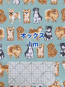 (キ46-100）モスグリーン地にワンちゃんいろいろ(生地幅110cm×長さ１m)