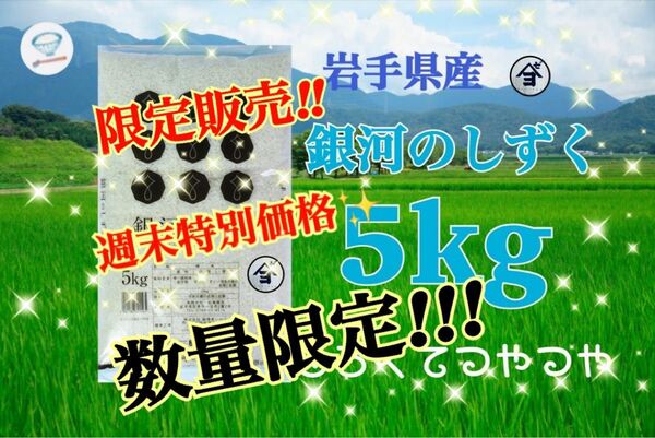 お米　週末限定価格！【岩手県産銀河のしずく5kg 】6年連続特A評価を獲得しました！白くて艶やか♪