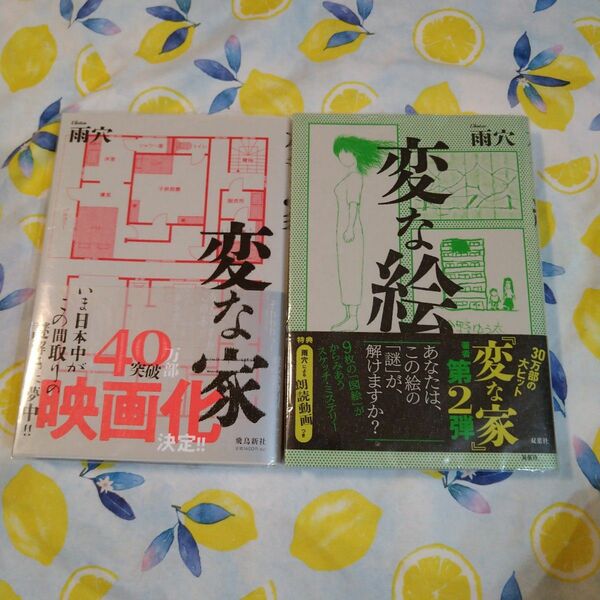 透明カバー付！変な家　変な絵　雨穴