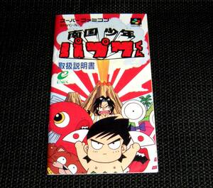 即決　SFC　良品　説明書のみ　南国少年パプワくん　同梱可　(ソフト無)　