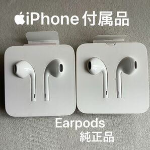 Apple iPhone イヤホン ライトニング　純正品 EarPods