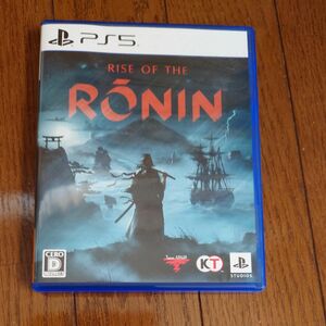 Rise of the Ronin