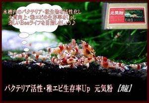 * free shipping![ dragon ] bee shrimp ..~.. origin ..! origin . flour!