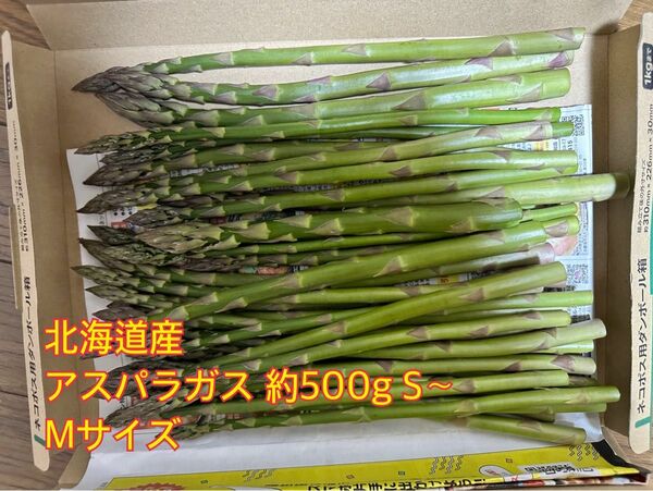 北海道産　アスパラガス 不揃い 500g