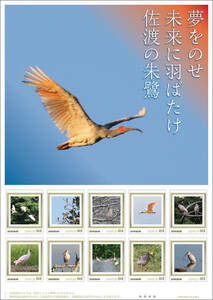  unopened new goods / Niigata prefecture limitation / frame stamp [ dream .. . future . feather ... Sado. ..] special natural memory thing / international protection bird /toki/63 jpy commemorative stamp collection 