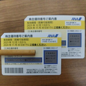 ★2枚セット★ANA全日空の株主優待券 有効期限 2024年11月30日