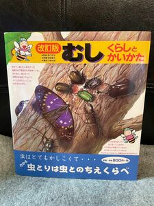 むし　くらしとかいかた （いきもののくらしとかいかたシリーズ　１） （改訂版） 阪口　浩平　監