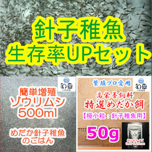 針子稚魚 生存率UP★ ゾウリムシ500ml&特選めだか餌極小粒50gセット めだかグッピーらんちゅう金魚ベタの餌