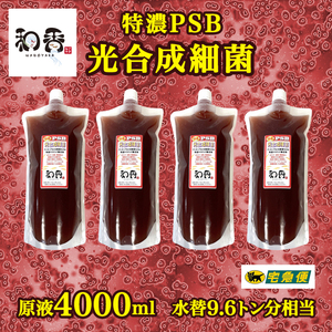 【水質浄化 免疫力強化】特濃光合成細菌PSB4000ml バクテリア めだか らんちゅう 金魚 熱帯魚 グッピーにミジンコゾウリムシクロレラ培養に