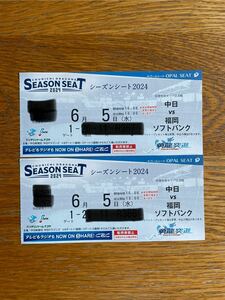 6 month 5 day middle day against SoftBank van te Lynn dome pair ticket 