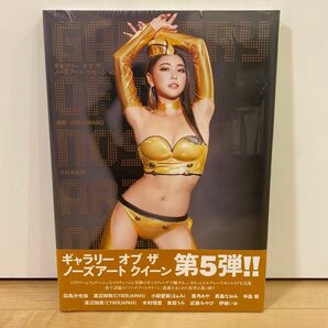 木村理恵　ギャラリー オブ ザ ノーズアート クイーン Vol.5　特装版　新品未開封