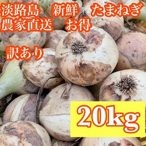 【お得】淡路島　南あわじ市　玉ねぎ 20kg　店舗　農家直送　訳あり　生食用