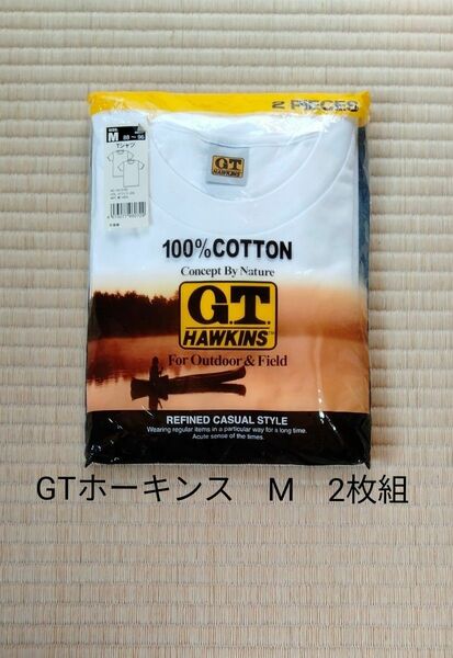 Tシャツ　GTホーキンス　M　2枚組　半袖　白　グンゼ　綿100%