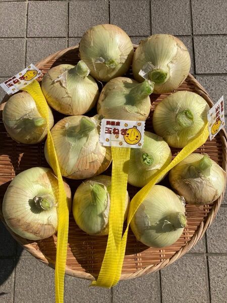 淡路島産ブランド　早生　七宝　サイズミックス　5kg