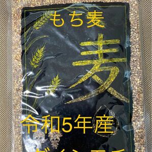 令和5年 岡山県産 ダイシモチ もち麦 紫もち麦 950g チャック付き 美容 ダイエット 健康 食物繊維