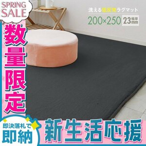 【新生活セール】ラグ カーペット ラグマット Lサイズ 200x250cm 極厚23mm 3.2畳 床暖房 抗菌 防ダニ 低反発 絨毯 リビング マット 濃灰