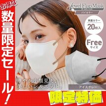 【セール】アイスグレー バイカラー 立体 3D 不織布マスク 20枚入 フリーサイズ 両面カラー 感染症 花粉症 インフル 対策 JewelFlapMask_画像1