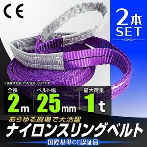 【2本セット】送料無料 スリングベルト 耐荷重1000kg 長さ2m×幅25mm 両端アイ型 ナイロン スリング ベルト 玉掛け 荷揚 荷吊りベルト 牽引