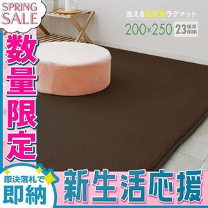 【新生活セール】ラグ カーペット ラグマット Lサイズ 200x250cm 極厚23mm 3.2畳 床暖房 抗菌 防ダニ 低反発 絨毯 リビング マット ブラウ