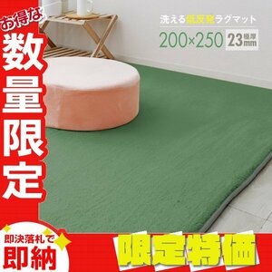 [ ограничение распродажа ] ковер ковровое покрытие коврик L размер 200x250cm очень толстый 23mm 3.2 татами пол подогрев антибактериальный . клещи низкая упругость .. living коврик зеленый 