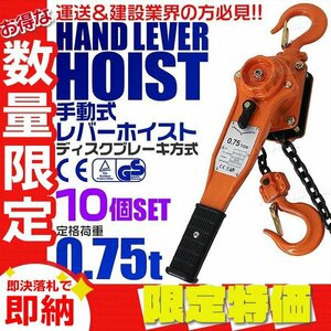 【限定セール】10個セット レバーホイスト 定格荷重0.75t 750kg チェーンホイスト 玉掛け CE TUV認証 ガッチャ チェーンブロック 荷締め機