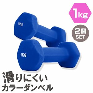 【2個セット/ブルー】滑りにくい カラー ダンベル 1kg 筋トレ エクササイズ 宅トレ シンプル ウエイトトレーニング ダイエット 新品 即決