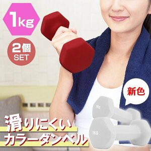 【2個セット/ライトグレー】滑りにくい カラー ダンベル 1kg 筋トレ エクササイズ 宅トレ シンプル ウエイトトレーニング ダイエット 新品