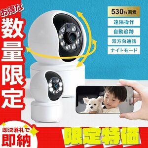 [ limitation sale ] one year guarantee security camera see protection pet camera home use baby monitor 530 ten thousand pixels 1080p automatic pursuit smartphone correspondence wifi.. operation 