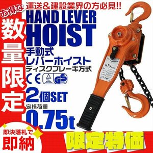 【限定セール】2個セット レバーホイスト 定格荷重0.75t 750kg チェーンホイスト 玉掛け CE TUV認証 ガッチャ チェーンブロック 荷締め機