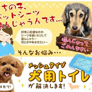 【ブルー】犬用トイレ メッシュタイプ 幅47×奥行34×高さ6cm イタズラ防止 フチ漏れしにくい ペット トイレ しつけ 足濡れ防止の画像3