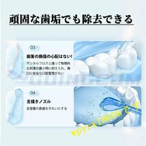 口腔洗浄器 歯垢除去 オーラルケア 口内洗浄機 800ml大容量 10段階水圧調節可能 家庭用 ウォーターピック 歯周ポケット 歯間/仕様B_画像2