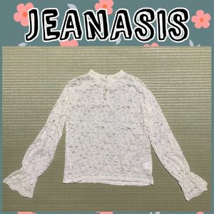 JEANASIS ジーナシス 総レース ハイネックブラウス 長袖