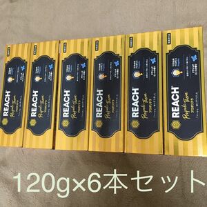 送料無料#新品#即決#6本セット#リーチ 歯磨き粉 REACH プロポリテラ 歯みがき 120g