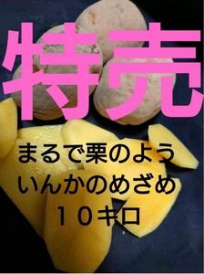 おはやめに　いんかのめざめ　10キロです