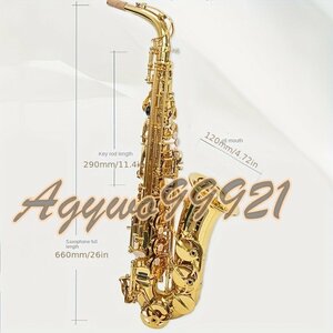 sax sa-ru Ran bruE Flat | beginner oriented alto saxophone | easy operation & superior sound quality 