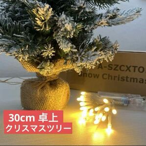 30cm 卓上　クリスマスツリー　電池式ライト付き イルミネーション ガーデニング