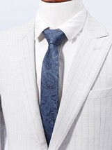 メンズ アクセサリー カラーorアクセサリー ペイズリーパターンの男性用ファッションネクタイ 1本_画像3