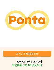 Ponta Point 10,000 Point 
