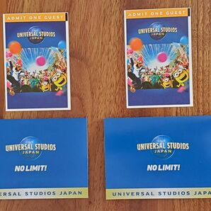 USJ ユニバーサルスタジオジャパン パートナーフリーパス 大人2枚ペアチケット