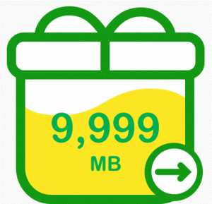 mineo マイネオ　パケットギフト　10GB（9999MB)　送料無料4