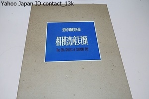  Sagami . production shellfish / that report paper is . under. . collection became shellfish. all kind .105. color map version .16 photograph map version ...1232.. peace English. explanation .. digit . therefore exist 