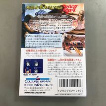 【新品】飛龍の拳スペシャルファイティングウォーズ　何本でも送料185円 動作保証_画像2